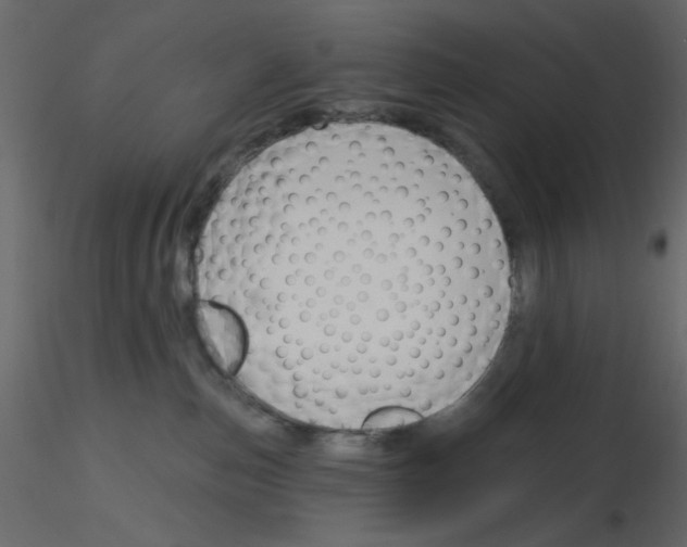 X0000115830187200912242003