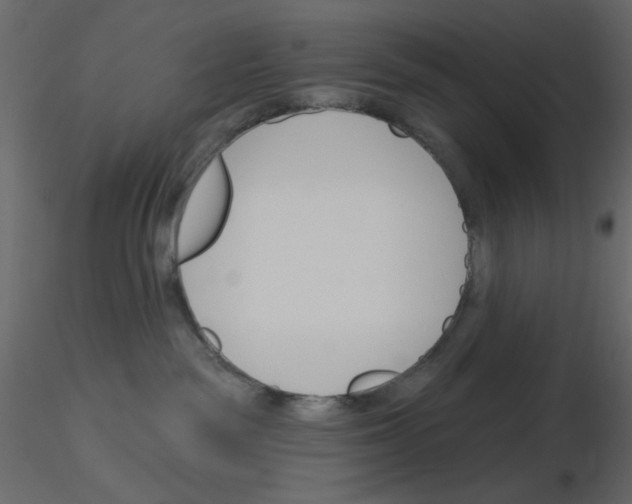 X0000115830189200912242003