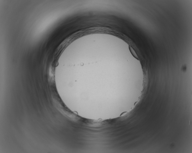 X0000115830191200912242003