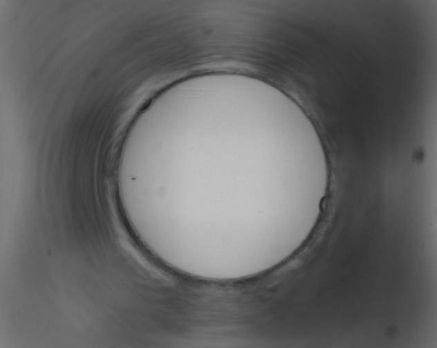 X0000115830193200912242003