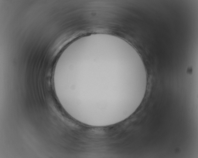 X0000115830194200912242003