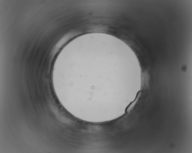 X0000115830195200912242003