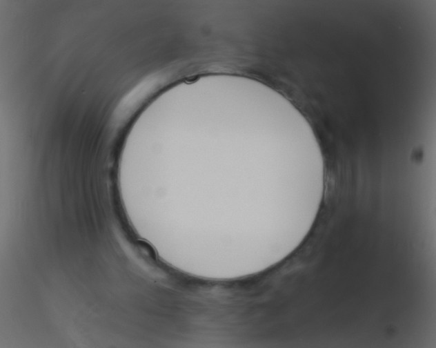 X0000115830197200912242003