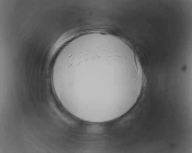 X0000115830198200912242003