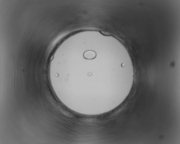 X0000115830200200912242003