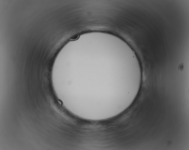 X0000115830201200912242003