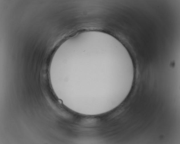 X0000115830202200912242003