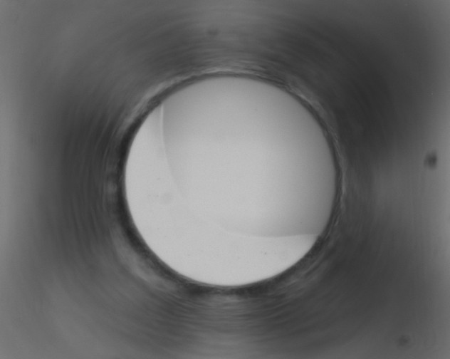 X0000115830203200912242003