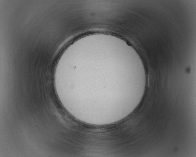 X0000115830204200912242003