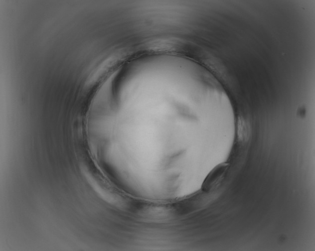 X0000115830205200912242003