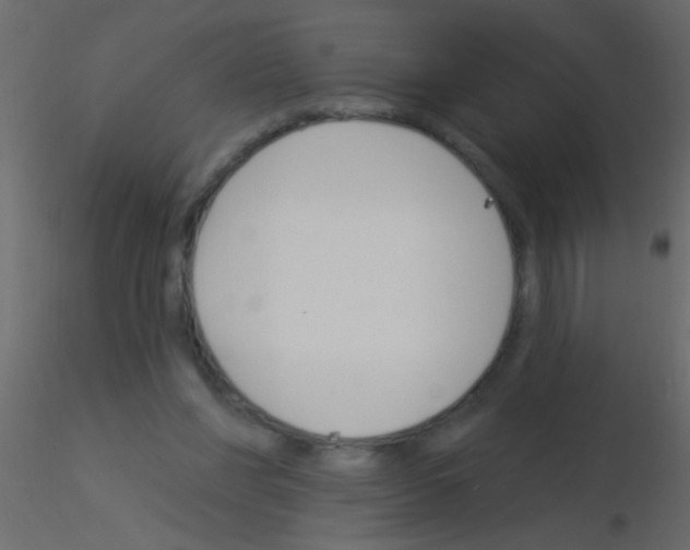 X0000115830206200912242003