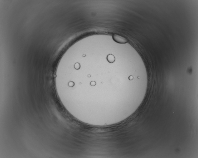 X0000115830208200912242003