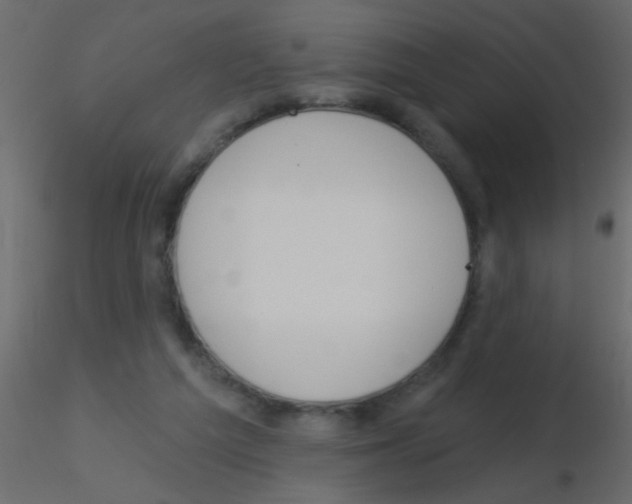 X0000115830209200912242003