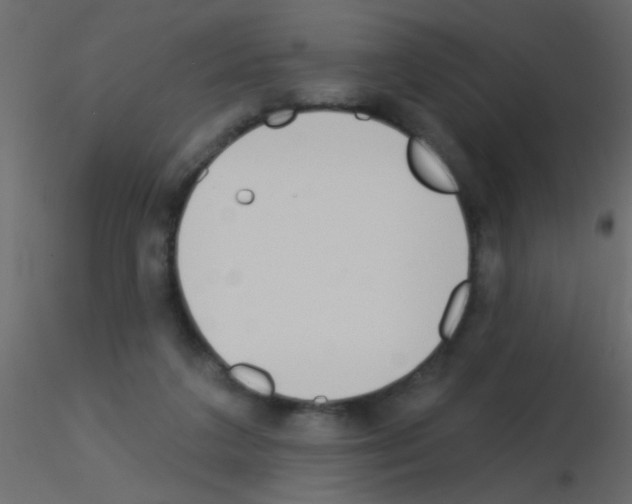 X0000115830211200912242003