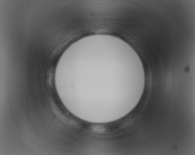 X0000115830214200912242003