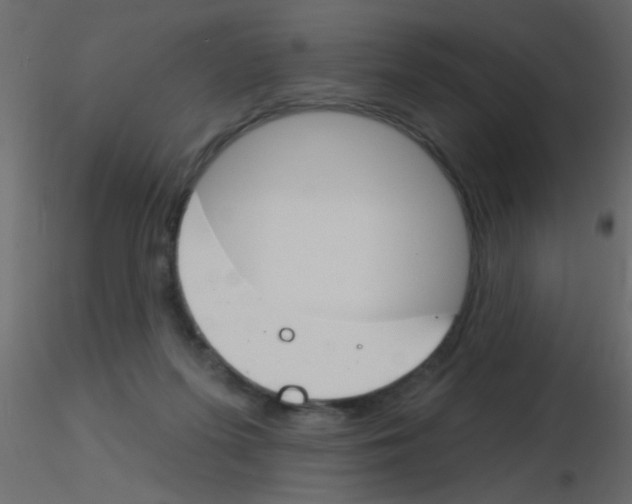 X0000115830215200912242003