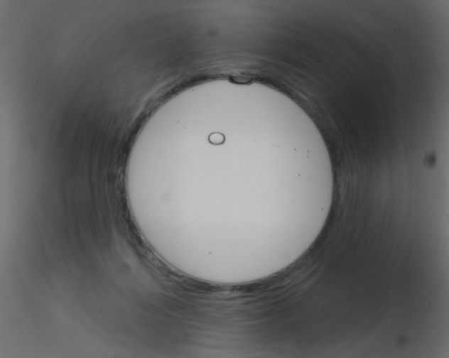 X0000115830216200912242003