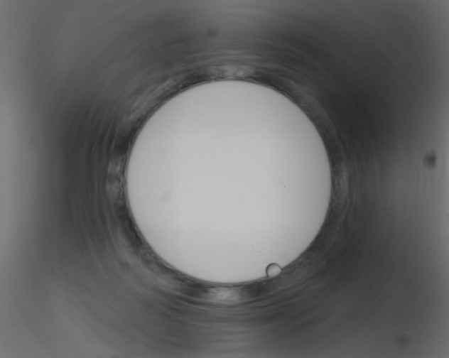 X0000115830218200912242002