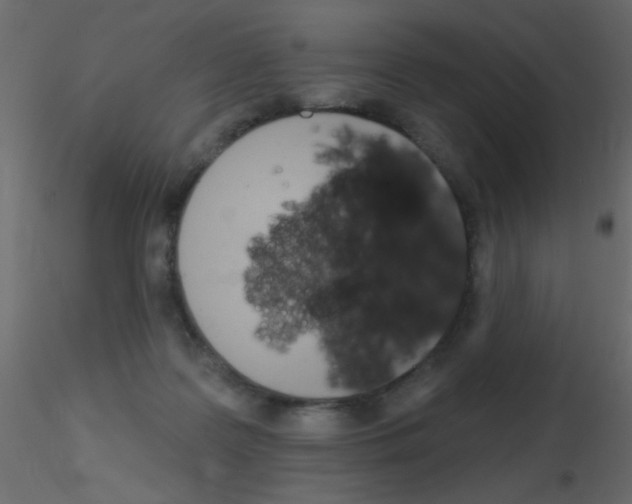 X0000115830219200912242002