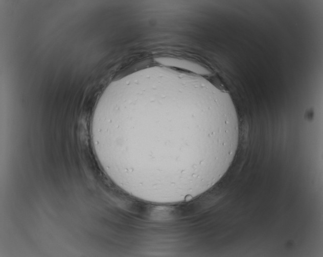 X0000115830222200912242002