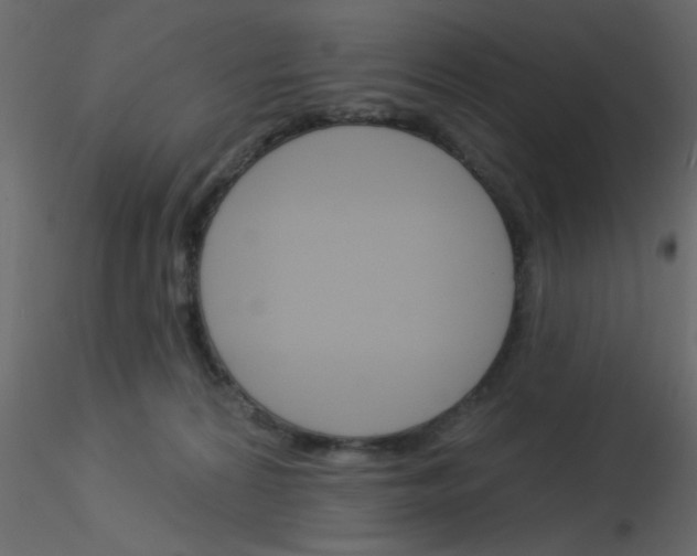 X0000115830224200912242002