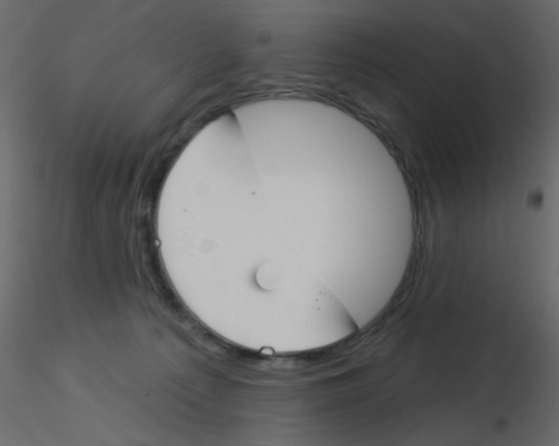 X0000115830225200912242002