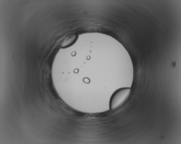 X0000115830228200912242002