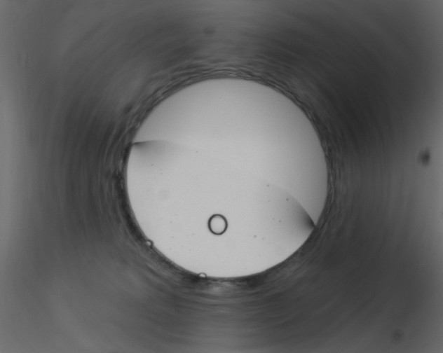 X0000115830229200912242002