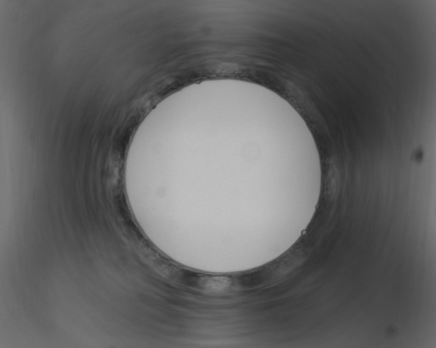 X0000115830230200912242002