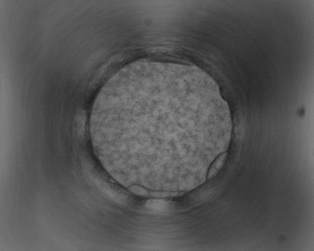 X0000115830231200912242002