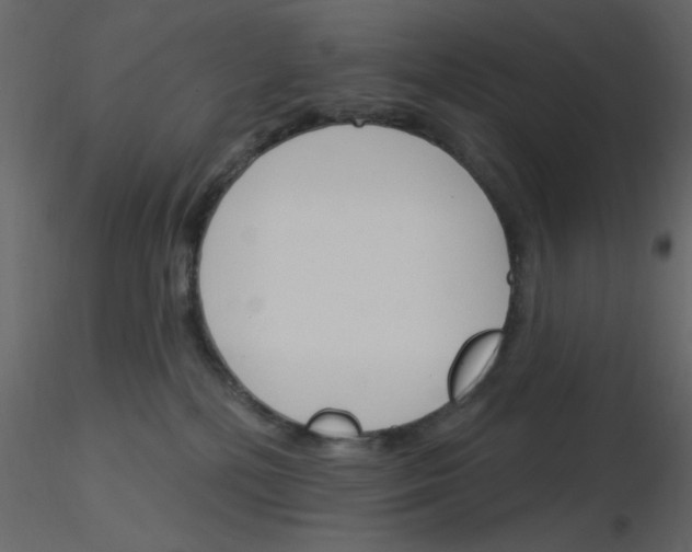 X0000115830232200912242002