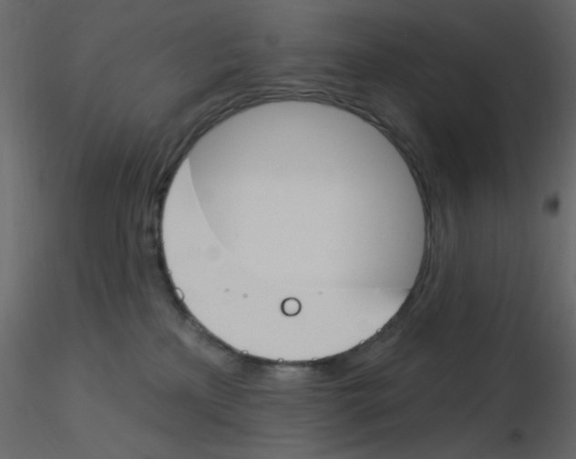 X0000115830233200912242002