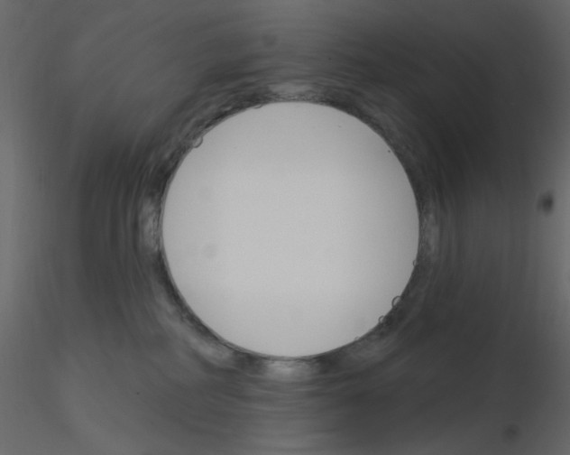 X0000115830234200912242002