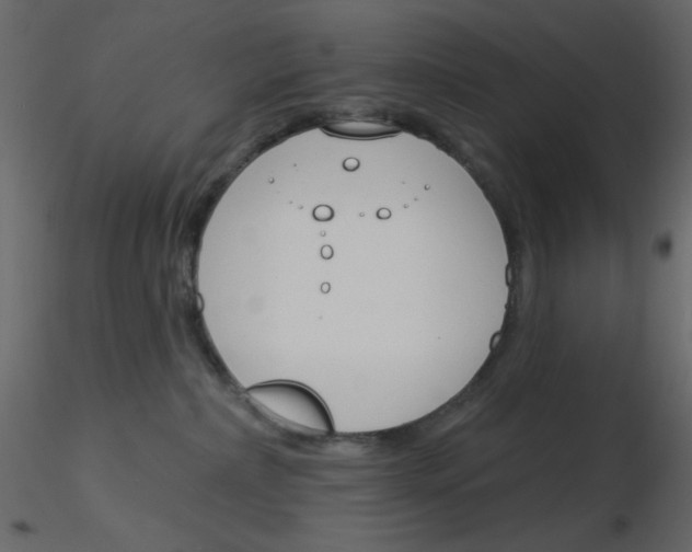 X0000115830236200912242002