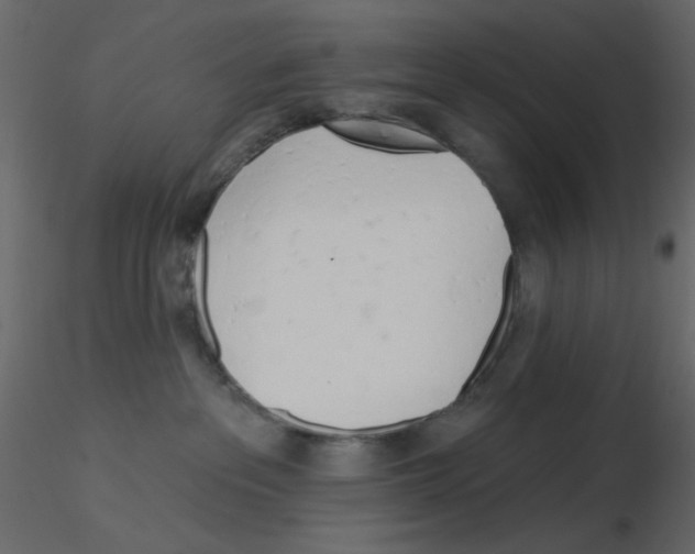 X0000115830237200912242002