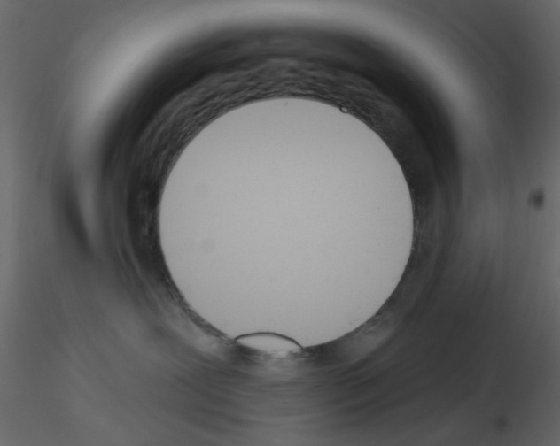 X0000115830239200912242002