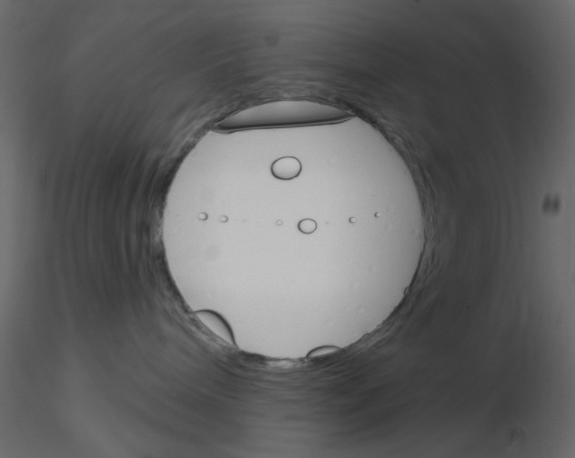 X0000115830240200912242002