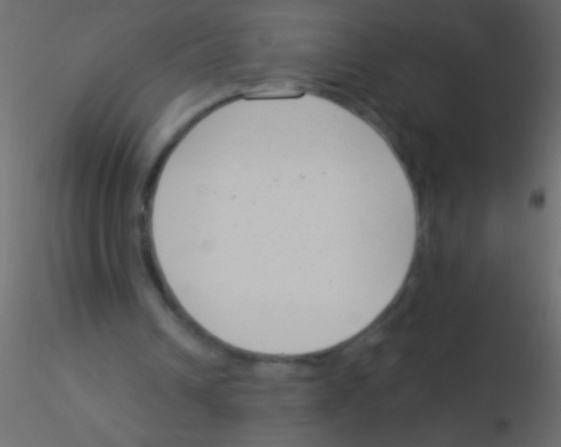 X0000115830242200912242002