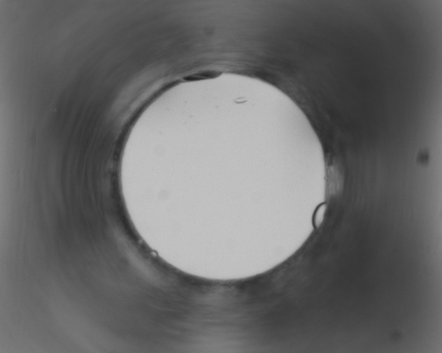 X0000115830243200912242002