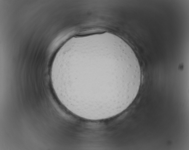 X0000115830245200912242002