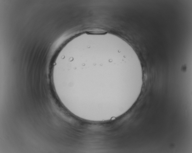 X0000115830246200912242002