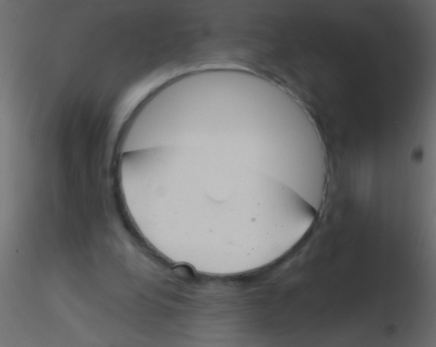 X0000115830248200912242002