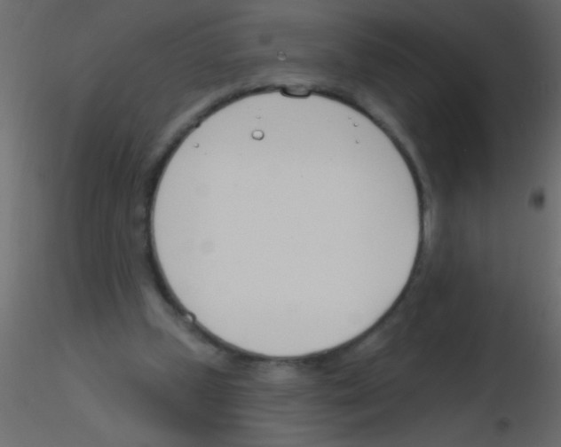 X0000115830249200912242002