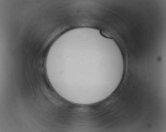 X0000115830250200912242002