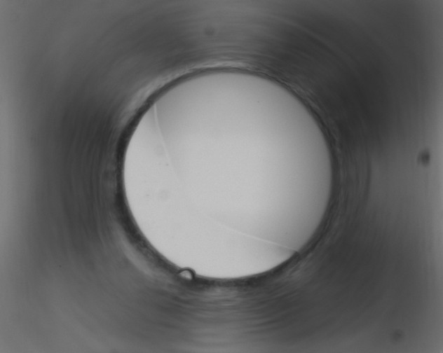 X0000115830252200912242002