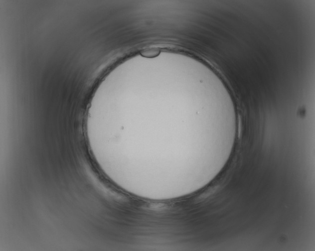 X0000115830253200912242002