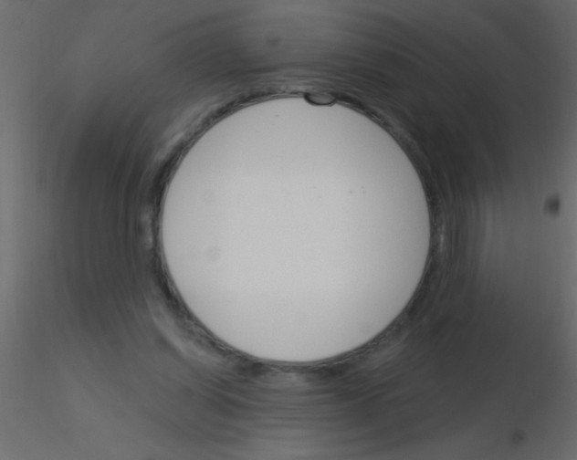 X0000115830254200912242002