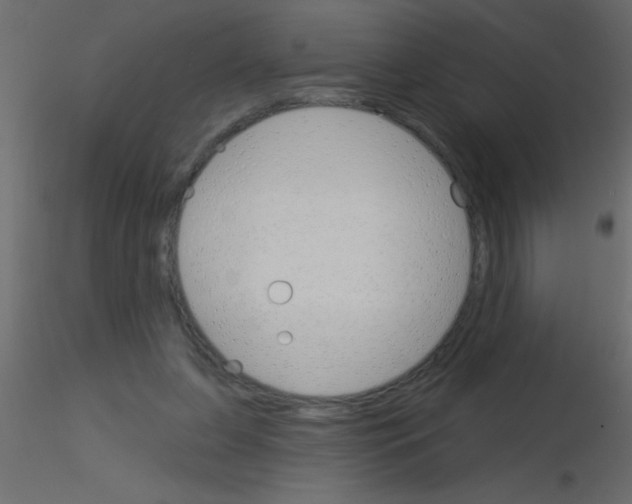 X0000115830255200912242002