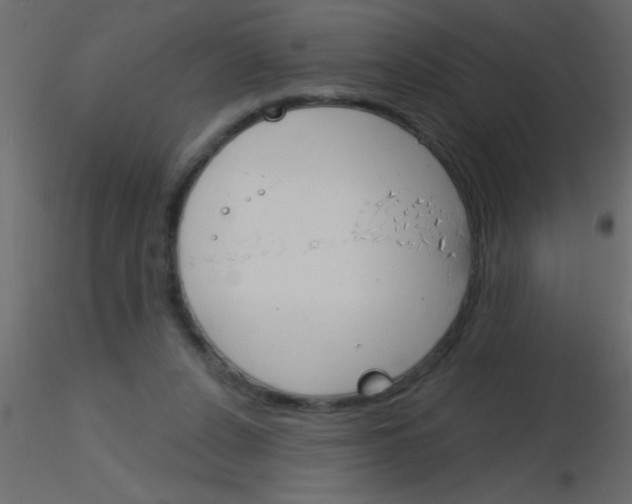 X0000115830256200912242002