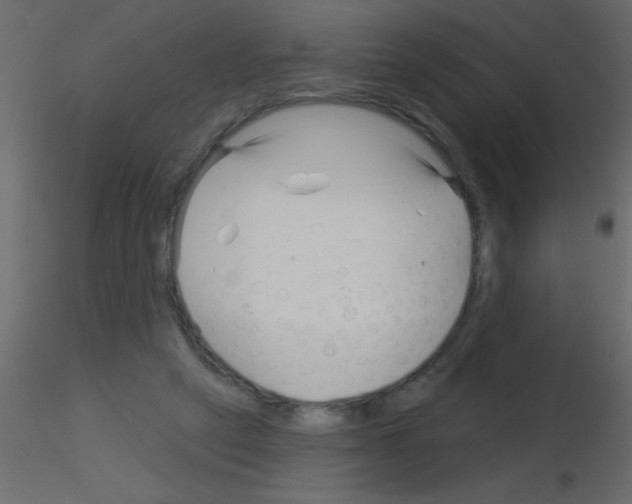 X0000115830257200912242002